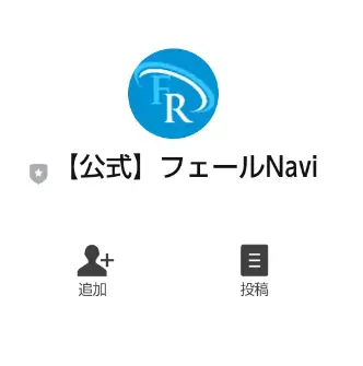 フェールNaviシステム